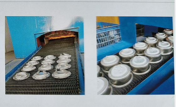 Horno eléctrico progresivo y económico para el recocido brillante de acero inoxidable